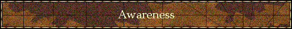 Awareness